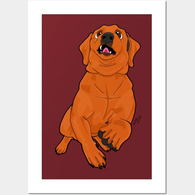 Fox Red Lab Wall Art by ApolloOfTheStars